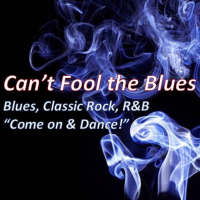 Cant Fool The Blues Band 